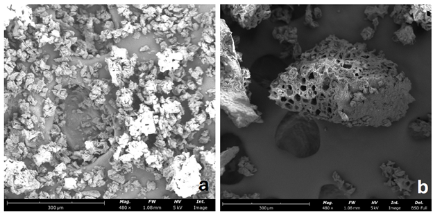 Figure 1: SEM images of a) finer and b) coarse ground of medium roast coffee powder